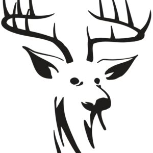 RR HUNT 42 RQC Thumbnail