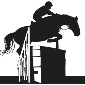 AR EQUEST 20 RC Thumbnail