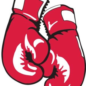 AR BOXING 17 RC Thumbnail