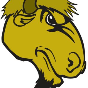 AR BUFFALO 14 RC Thumbnail