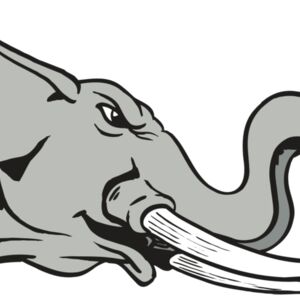 AR ELEPH 16 RC Thumbnail