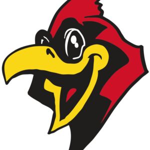 AR CARDINAL 36 RC Thumbnail