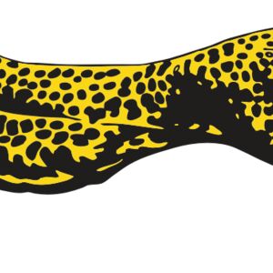 AR CHEETAH 12 RC Thumbnail