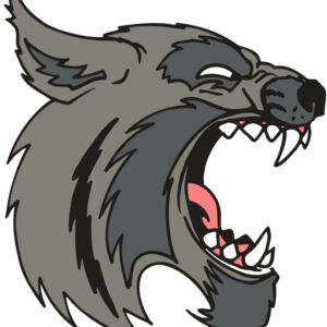 AR5 BOBCAT 08 RQC Thumbnail