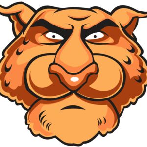 CHEETAH HD0501 RQC Thumbnail