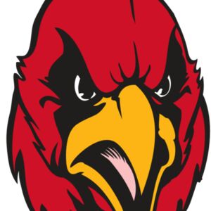 BAW CARDINAL 11 RC Thumbnail