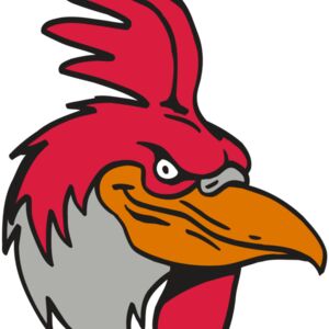 AR5 Gamecock 05 RQC Thumbnail