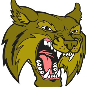 AR5 BOBCAT 20 RQC Thumbnail