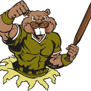 AR4 BEAVER 02 RQC Thumbnail