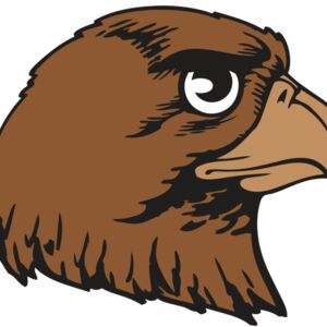 BAW HWK FLCN 05 RC Thumbnail