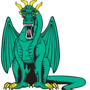 BAW DRAGON 10 RC Thumbnail