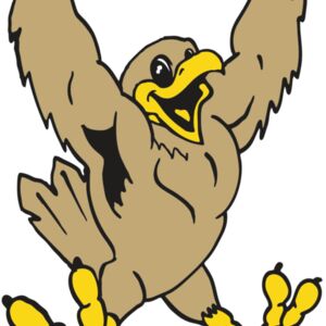 AR EAGLE 21 RC Thumbnail