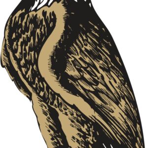 BAW EAG 02 RC Thumbnail