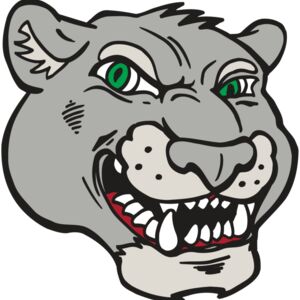 AR5 Cougar 06 RQC Thumbnail