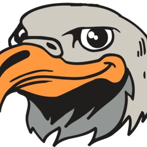 AR5 Eagle 21 RQC Thumbnail