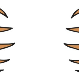 AR BEAR 05 RC Thumbnail