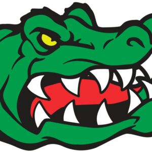 AR GATOR 19 RQC Thumbnail