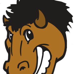 AR BUFFALO 17 RC Thumbnail