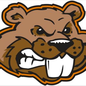 AR BEAVER 11 RC Thumbnail