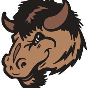 AR5 BUFFALO 03 RQC Thumbnail