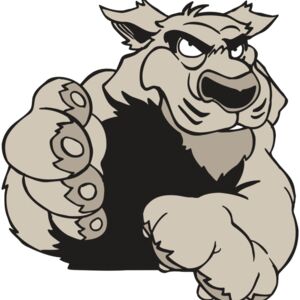 AR5 COUGAR 21 RQC Thumbnail