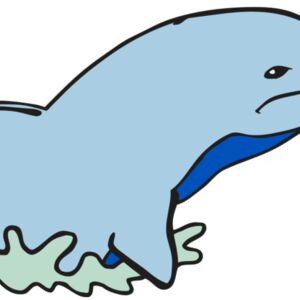 AR DOLPIN 14 RC Thumbnail