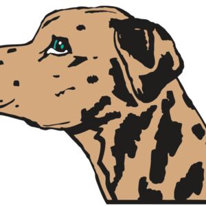 AR2 OTHER 03 RQC Thumbnail