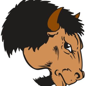 AR BUFFALO 16 RC Thumbnail