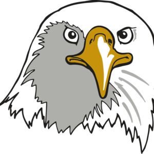 AR EAGLE 39 RC Thumbnail