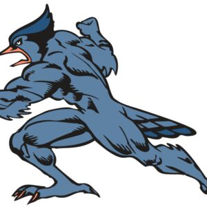 BAW BLUEJAY 15 RC Thumbnail