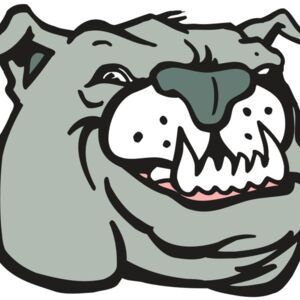 AR BDOG 44 RC Thumbnail