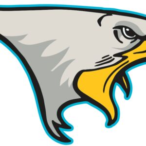 AR14 EAGLE FBALL 01 RQC Thumbnail