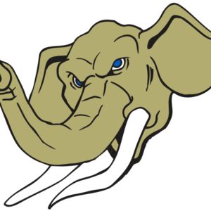 AR ELEPH 17 RC Thumbnail