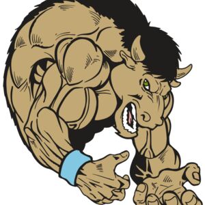 AR5 BUFFALO 12 RQC Thumbnail