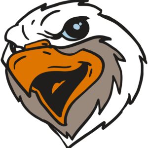 AR5 Eagle 20 RQC Thumbnail