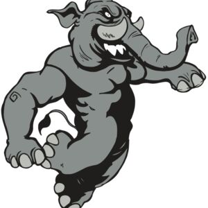 AR5 Elephant 09 RQC Thumbnail