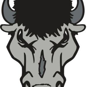 AR BUFFALO 15 RC Thumbnail