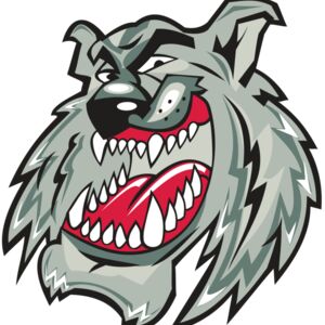 WILDCAT HD0504 RQC Thumbnail