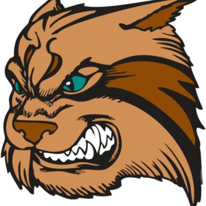 BAW WILDCAT 05 RC Thumbnail