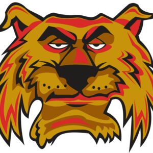 WILDCAT HD0503 RQC Thumbnail