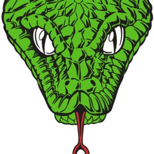 BAW SNAKE 08 RC Thumbnail