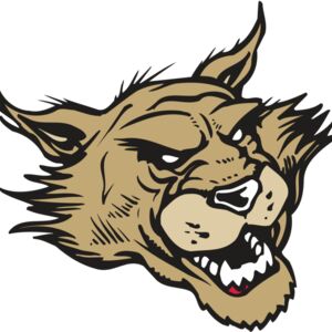 AR WILDCAT 39 RC Thumbnail