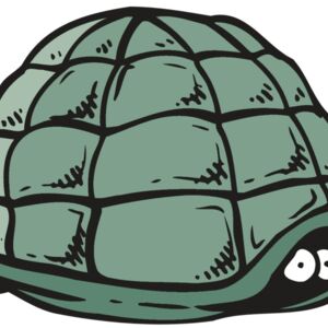 AR5 Turtle 10 RQC Thumbnail