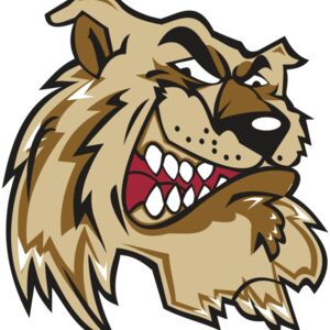 WILDCAT HD0502 RQC Thumbnail