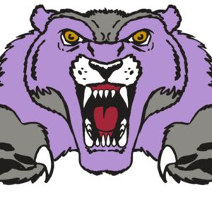 AR WOLVERINE 17 RC Thumbnail