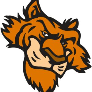 AR5 Tiger 16 RQC Thumbnail