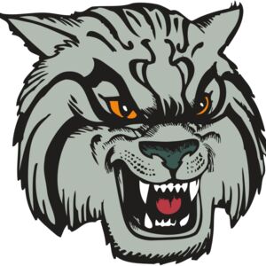 BAW WILDCAT 03 RC Thumbnail