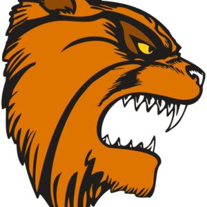 BAW WILDCAT 08 RC Thumbnail