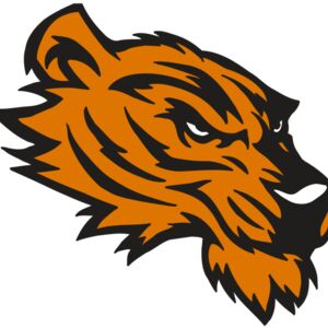 AR5 Tiger 05 RQC Thumbnail