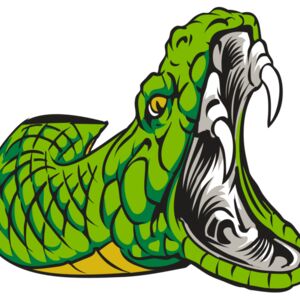 AR30 SNAKE 01 RQC Thumbnail